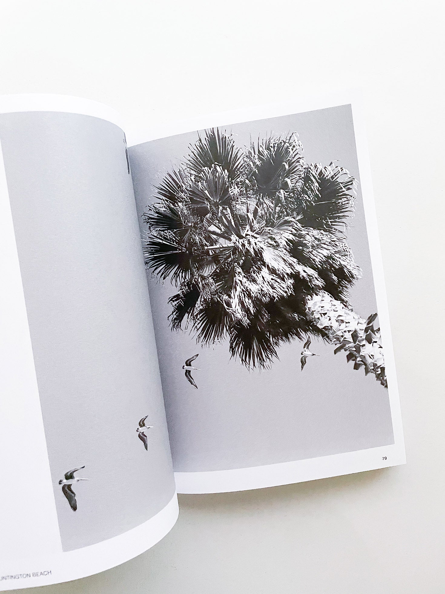 Hotshoe magazine Issue 212: Meet The Templetons