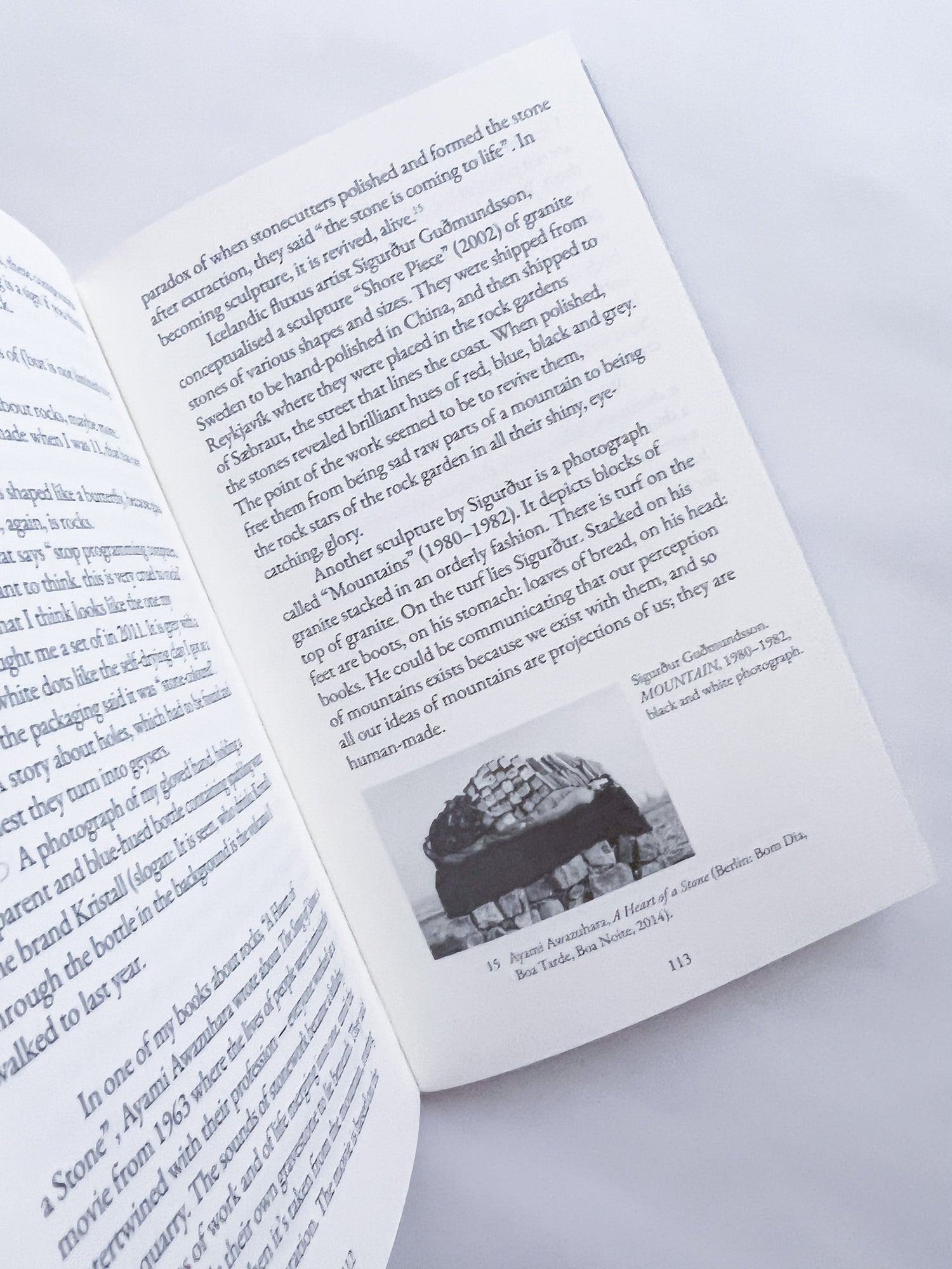 All horses are the same colour