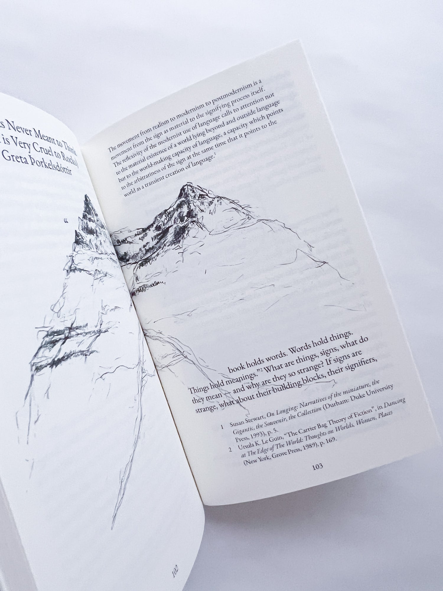 All horses are the same colour