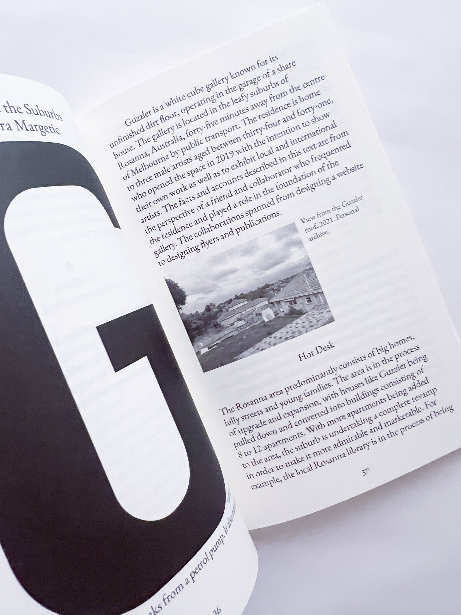 All horses are the same colour