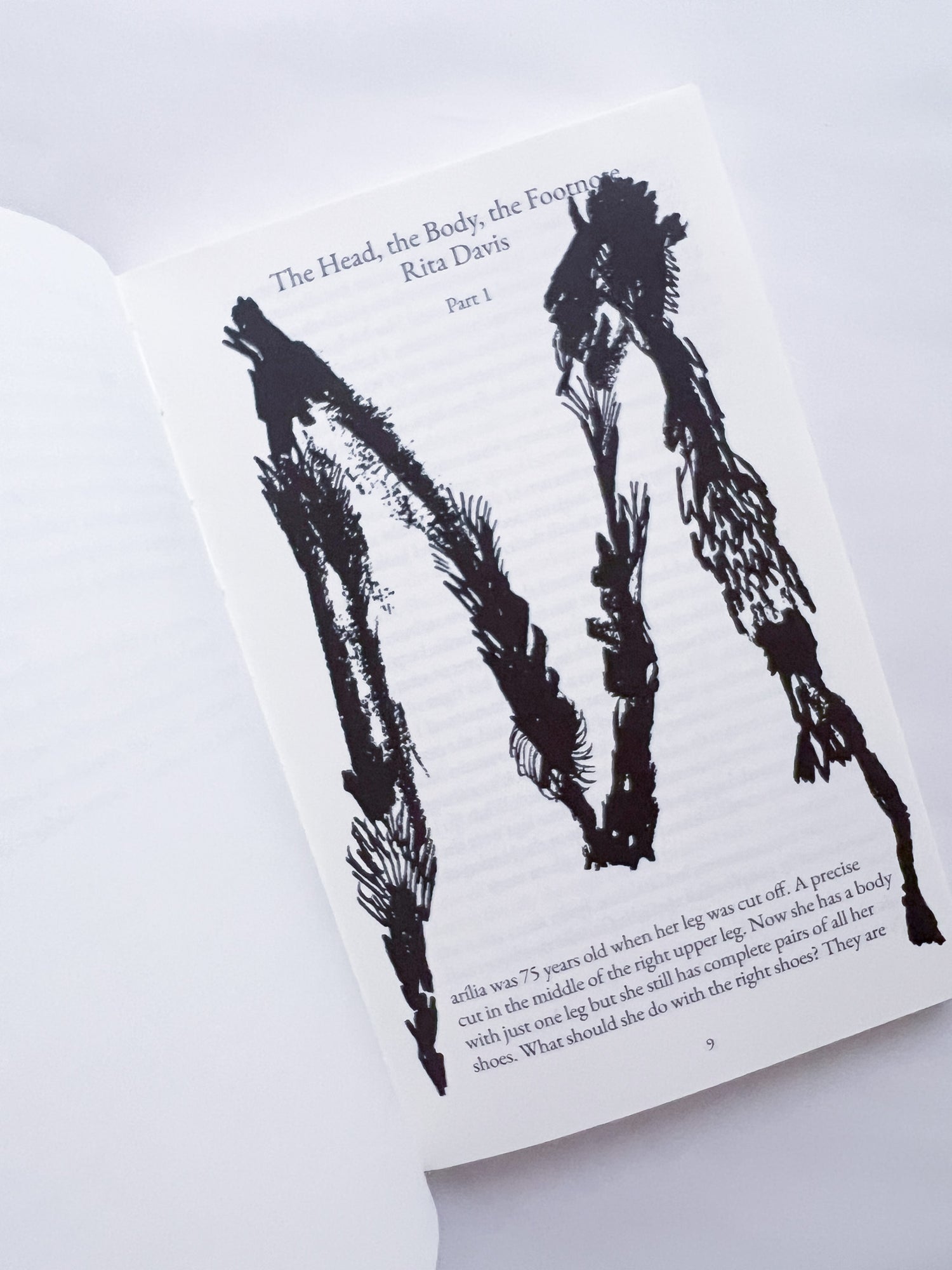 All horses are the same colour