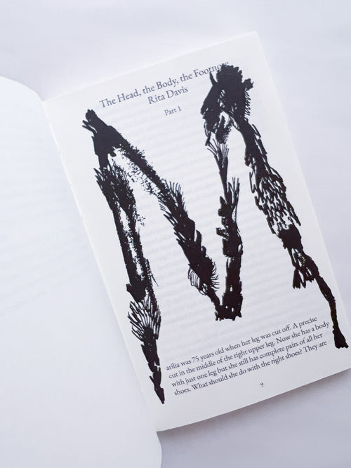 All horses are the same colour