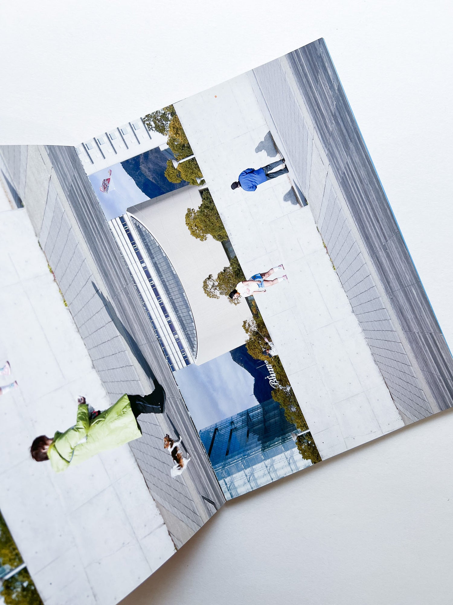 MATSUOKA! / Asami Minami [SIGNED]