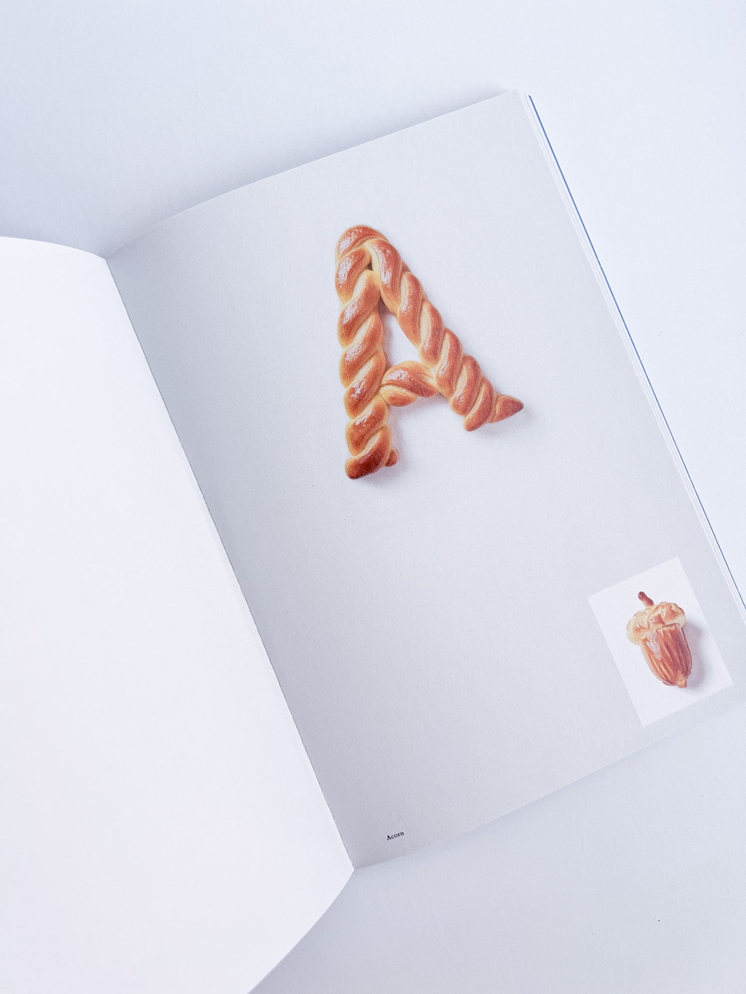 TYPE BAKERY / Tomoko Yamashita