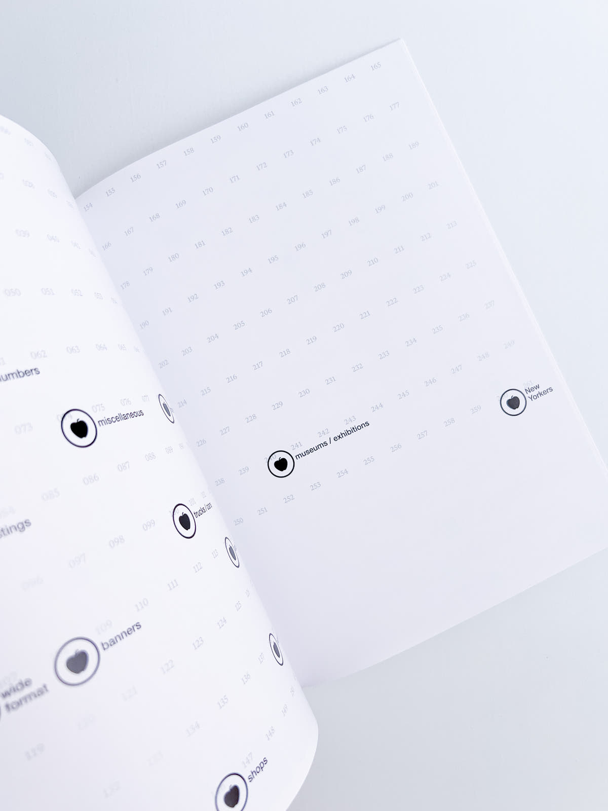 Typography In NYC 3 -10th Anniversary Edition / Joyce Shi
