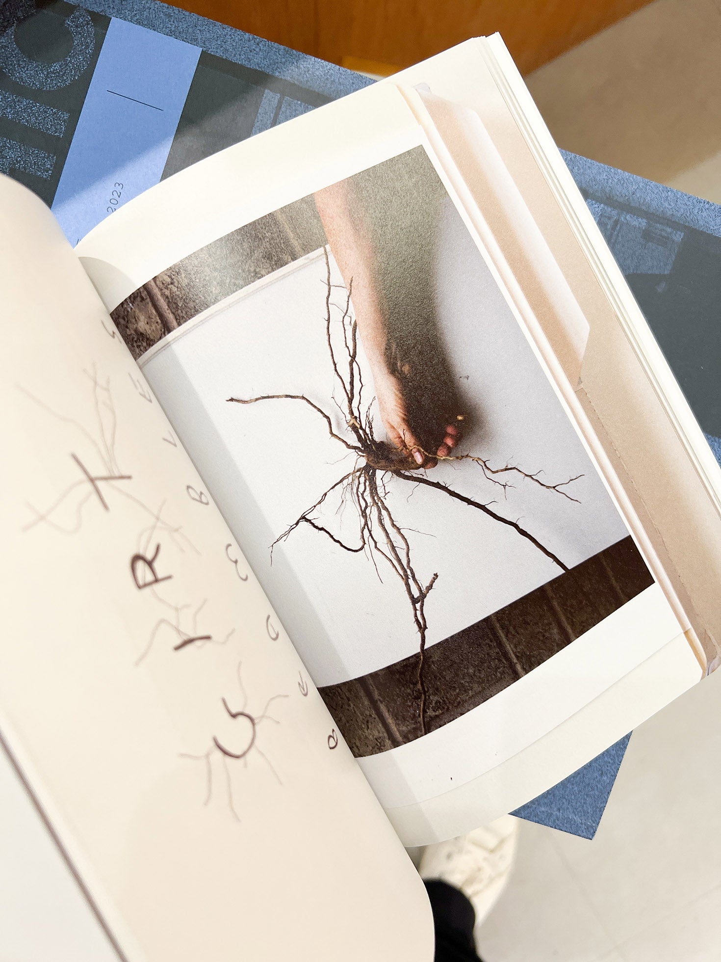 Workbooks 1984-2024 / Nigel Shafran