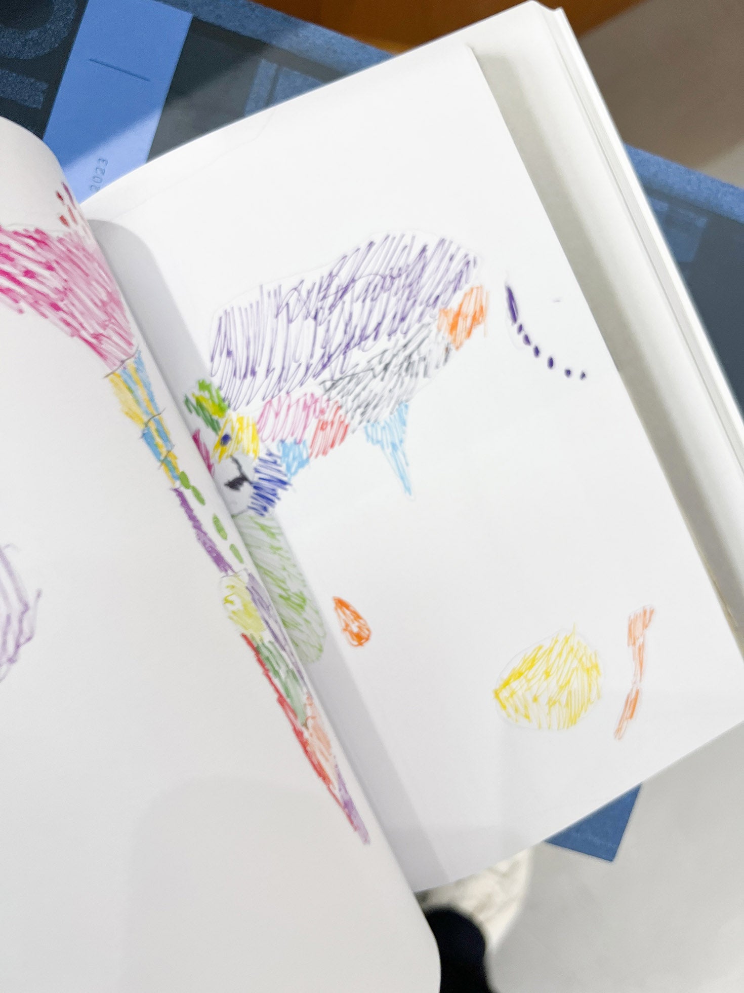 Workbooks 1984-2024 / Nigel Shafran