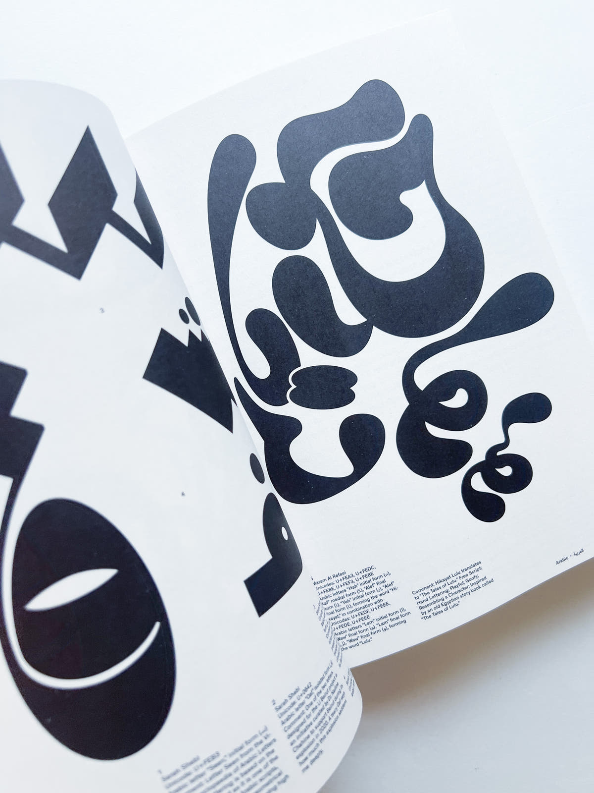 Graphic Languages—A Visual Guide to the World’s Writing Systems