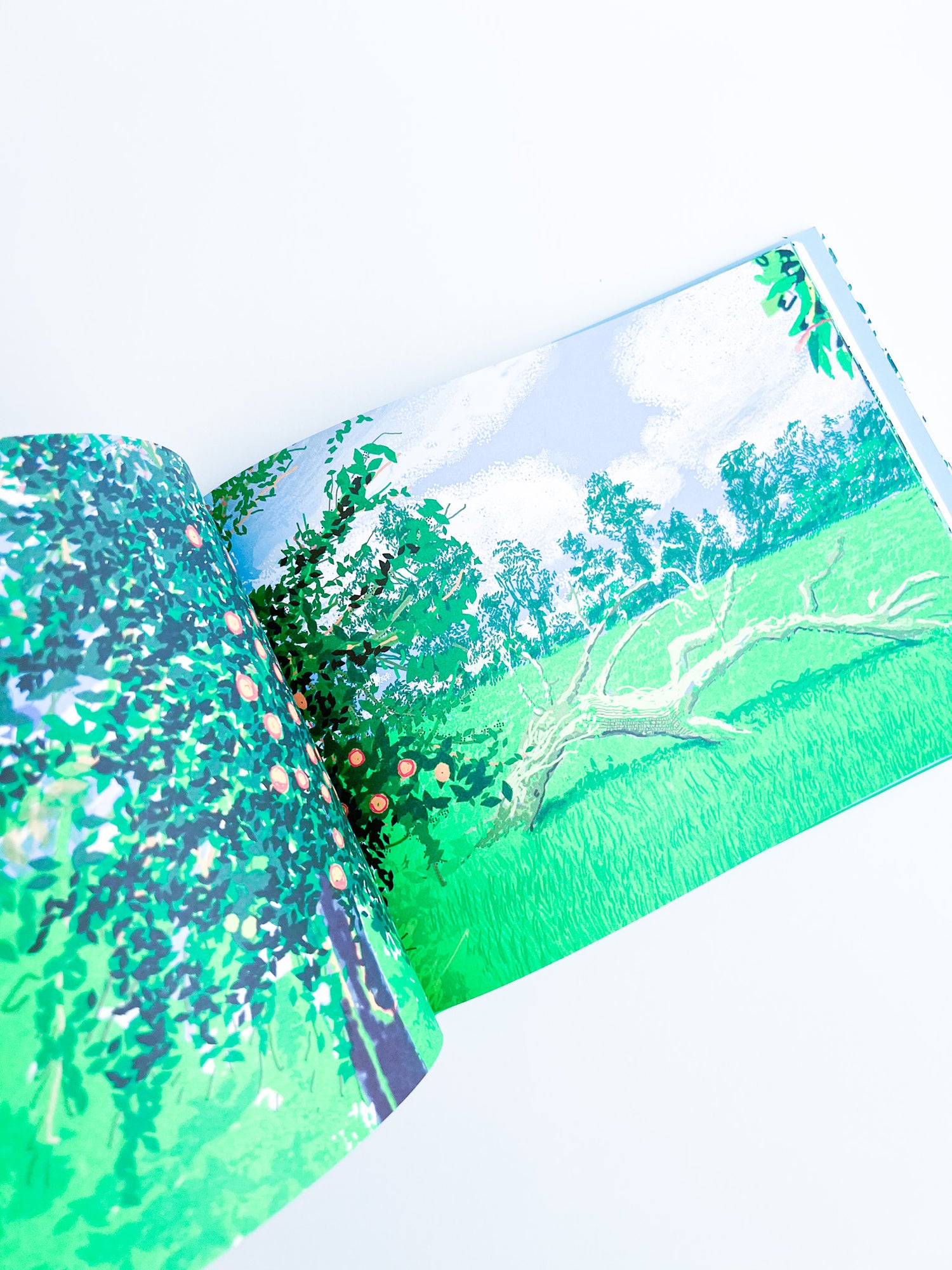David Hockney : A Year in Normandie and Some Other Thoughts about Painting / David Hockney