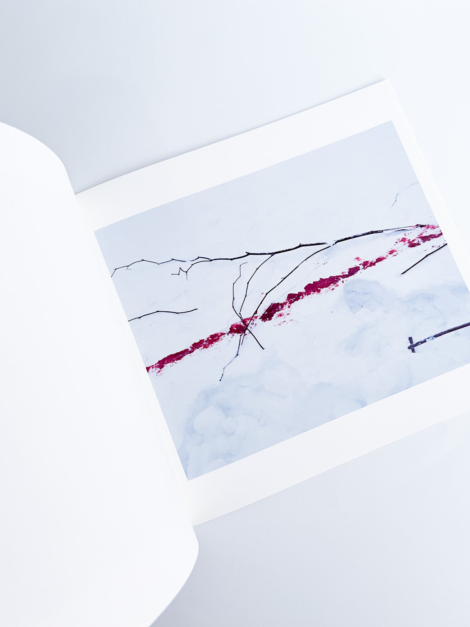 Trails / Takashi Homma