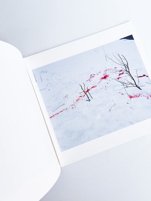 Trails / Takashi Homma