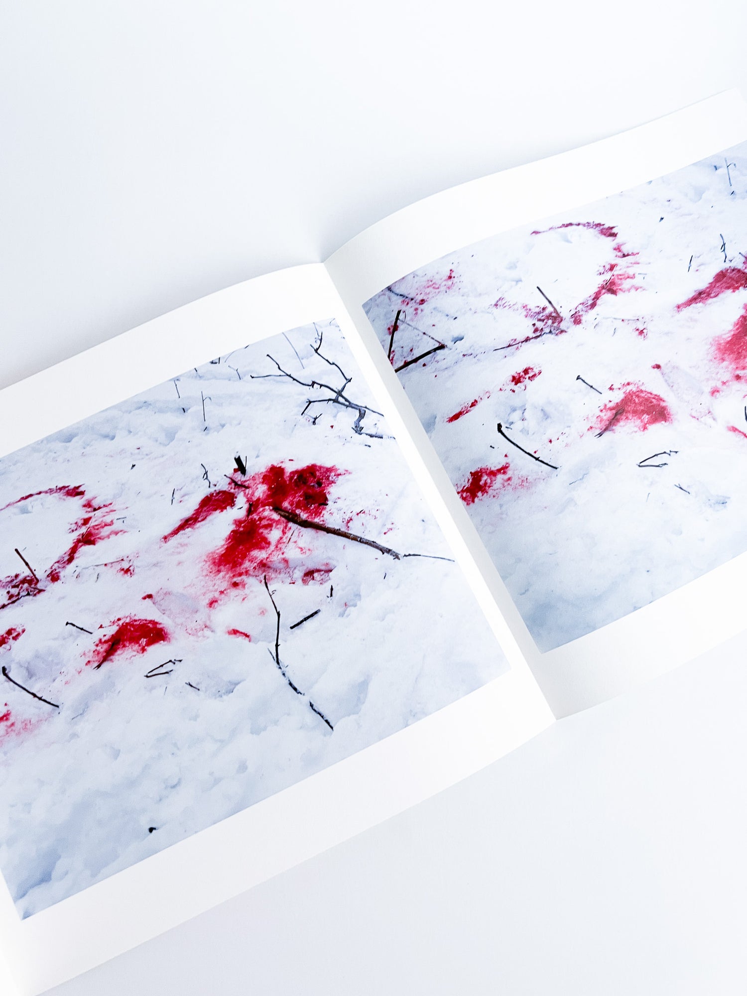 Trails / Takashi Homma