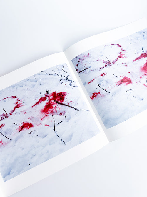 Trails / Takashi Homma