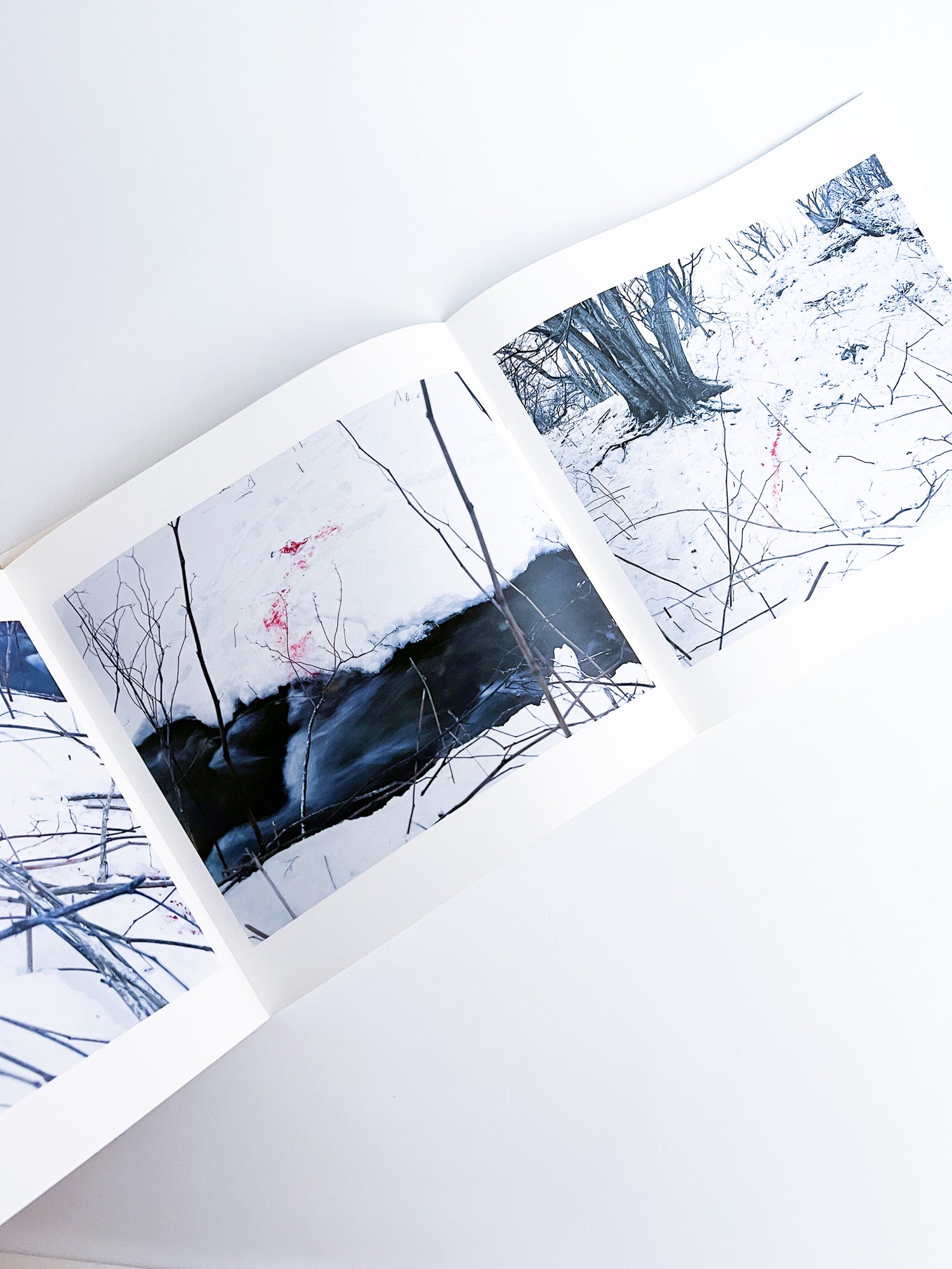 Trails / Takashi Homma
