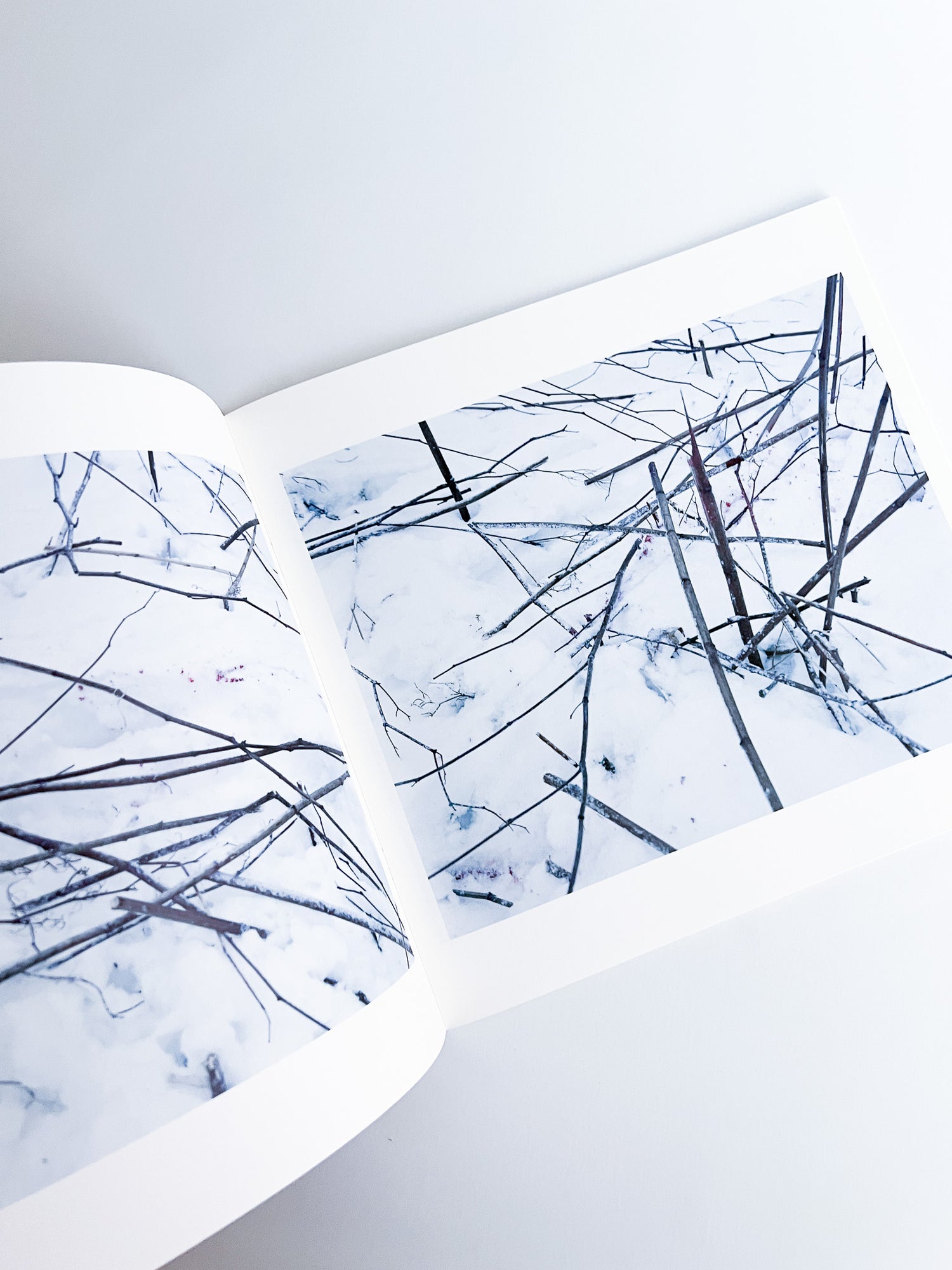 Trails / Takashi Homma