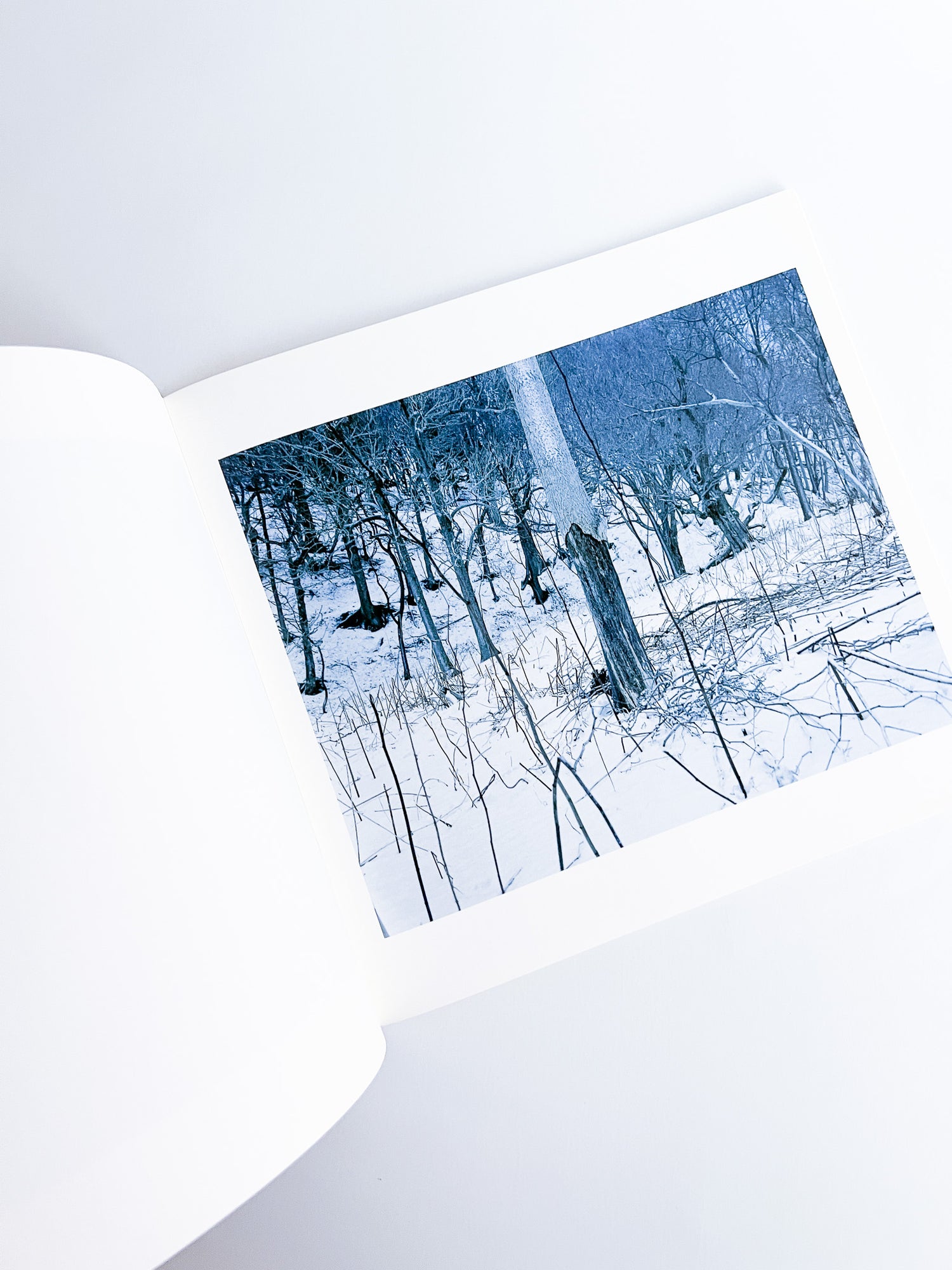 Trails / Takashi Homma