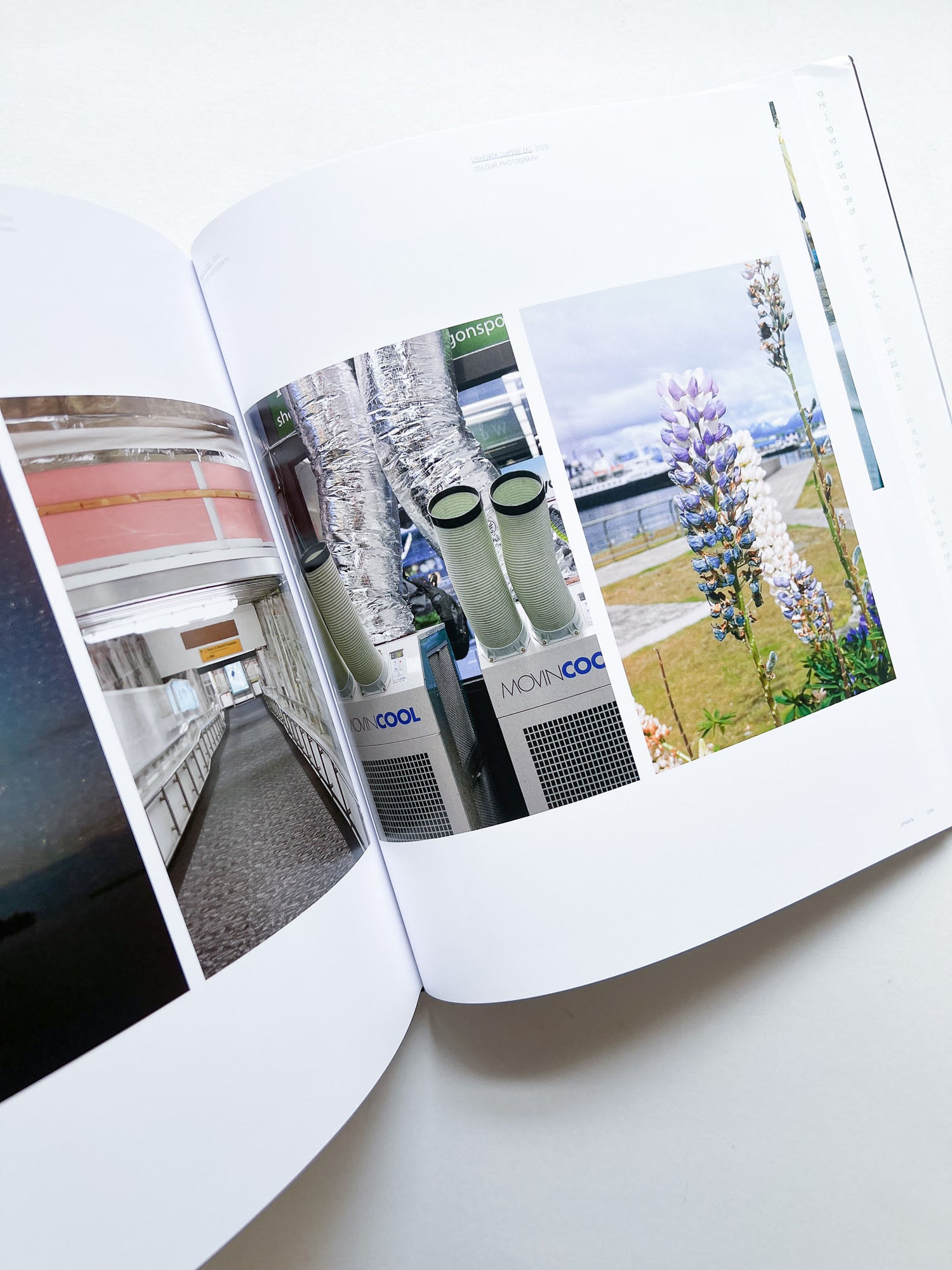 WOLFGANG TILLMANS / Wolfgang Tillmans