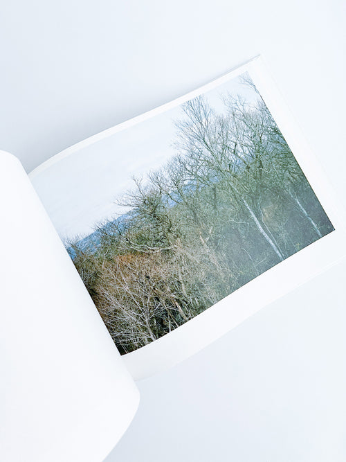 Semicircle Law / Tomoki Imai [SIGNED]