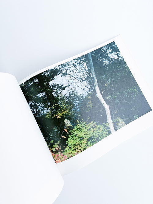 Semicircle Law / Tomoki Imai [SIGNED]