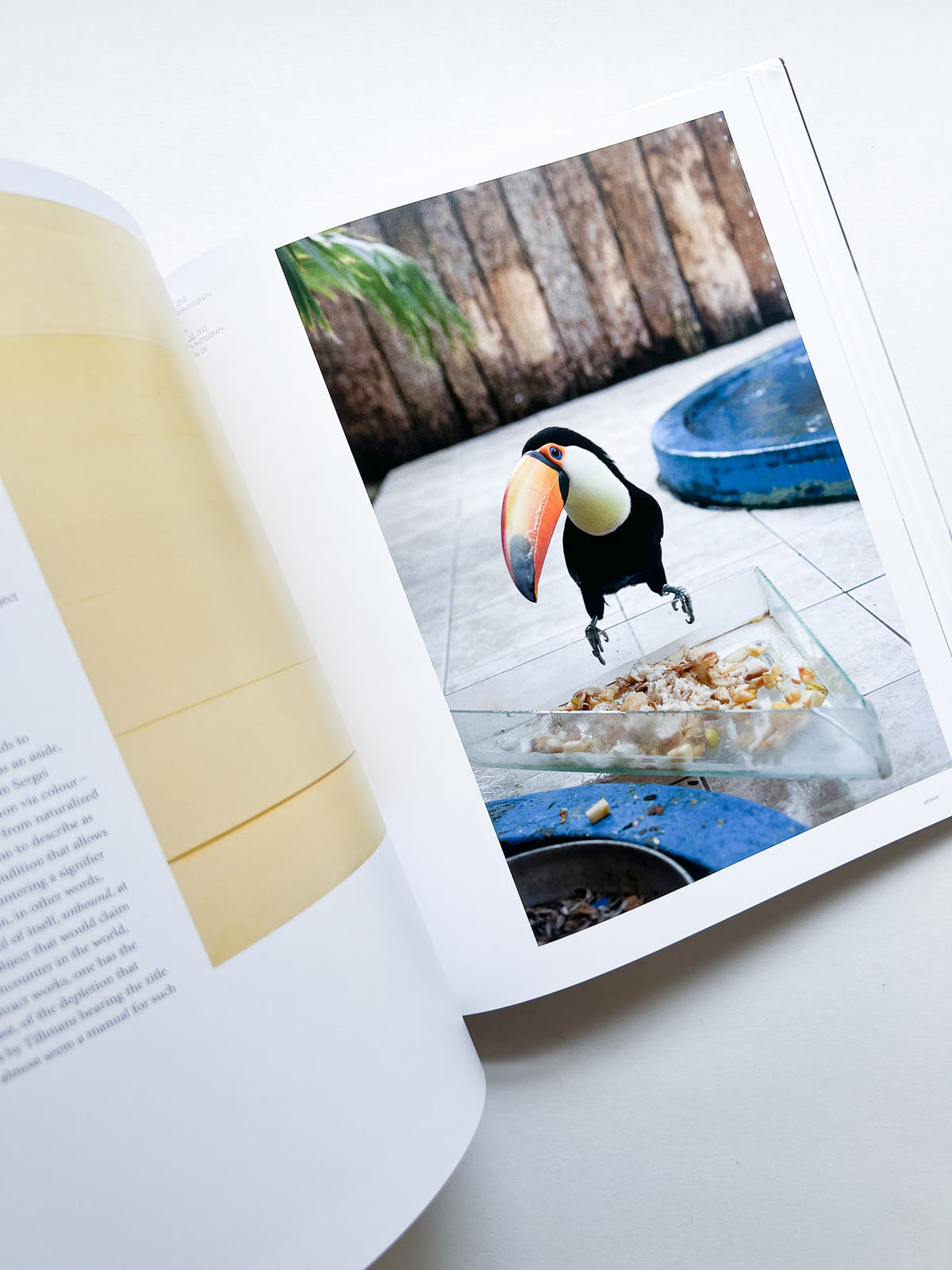 WOLFGANG TILLMANS / Wolfgang Tillmans