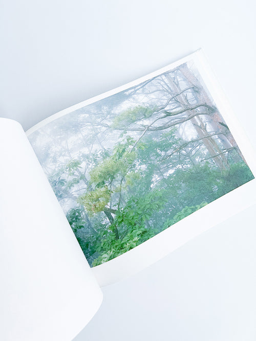 Semicircle Law / Tomoki Imai [SIGNED]