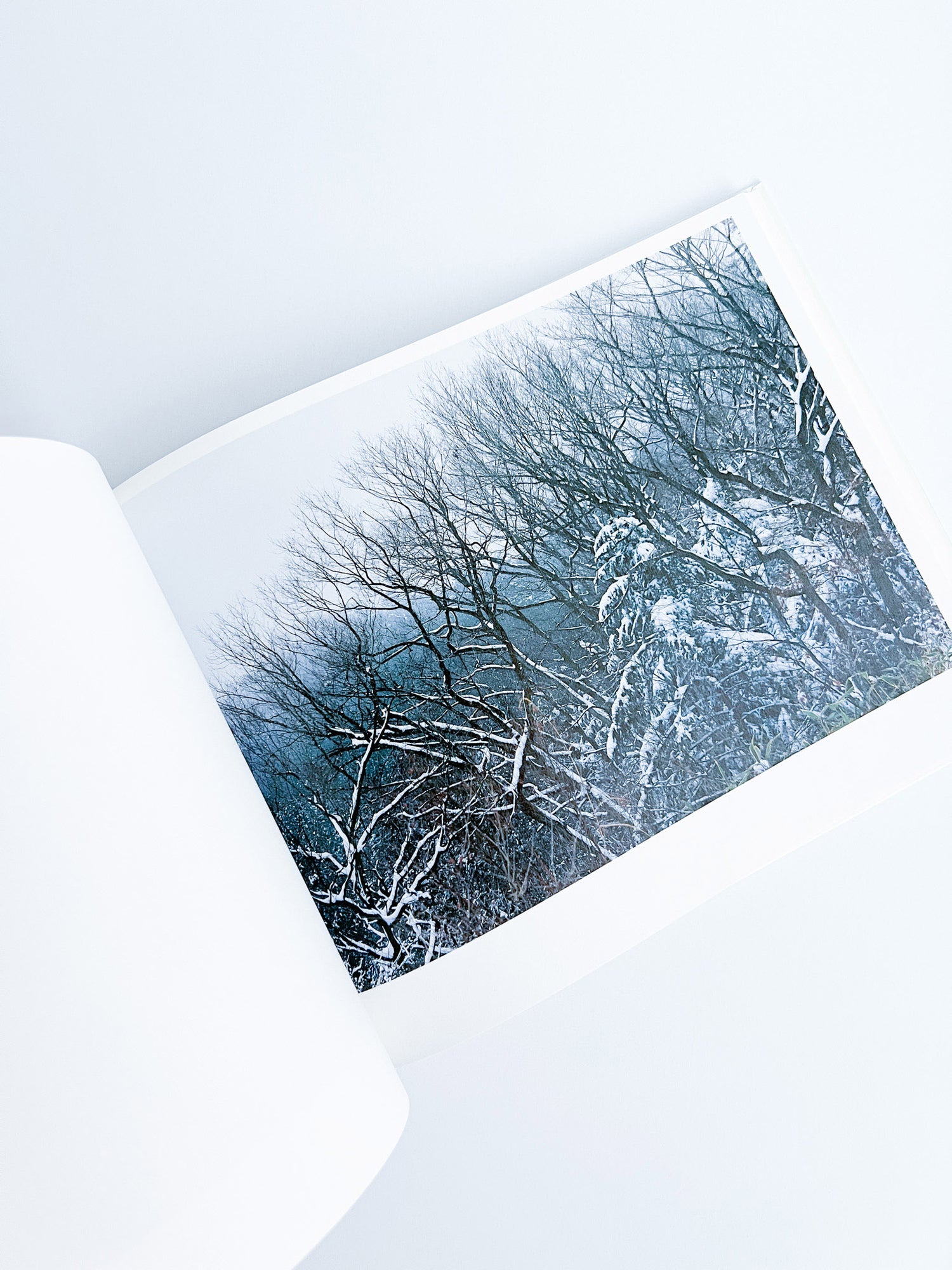 Semicircle Law / Tomoki Imai [SIGNED]