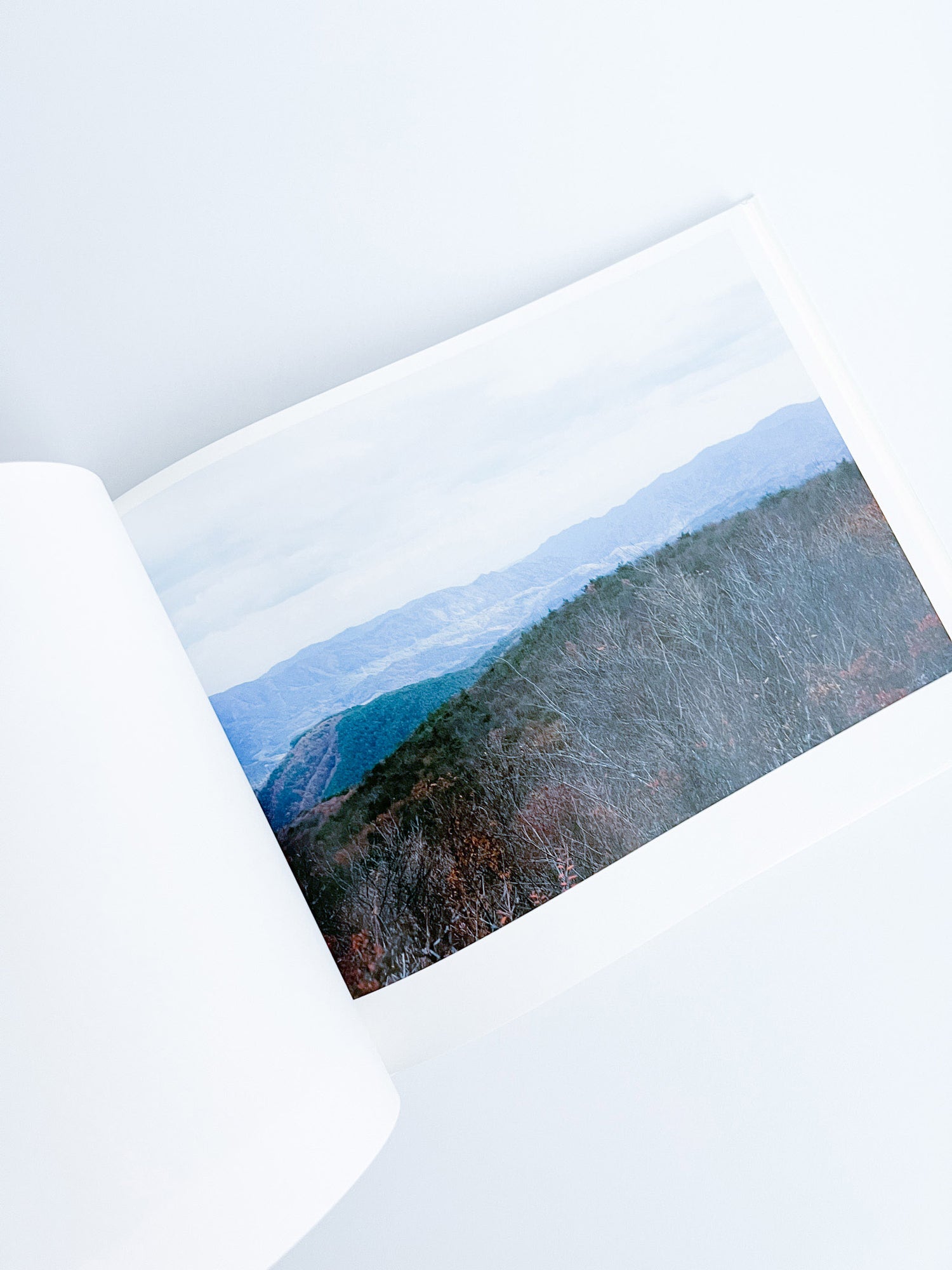 Semicircle Law / Tomoki Imai [SIGNED]
