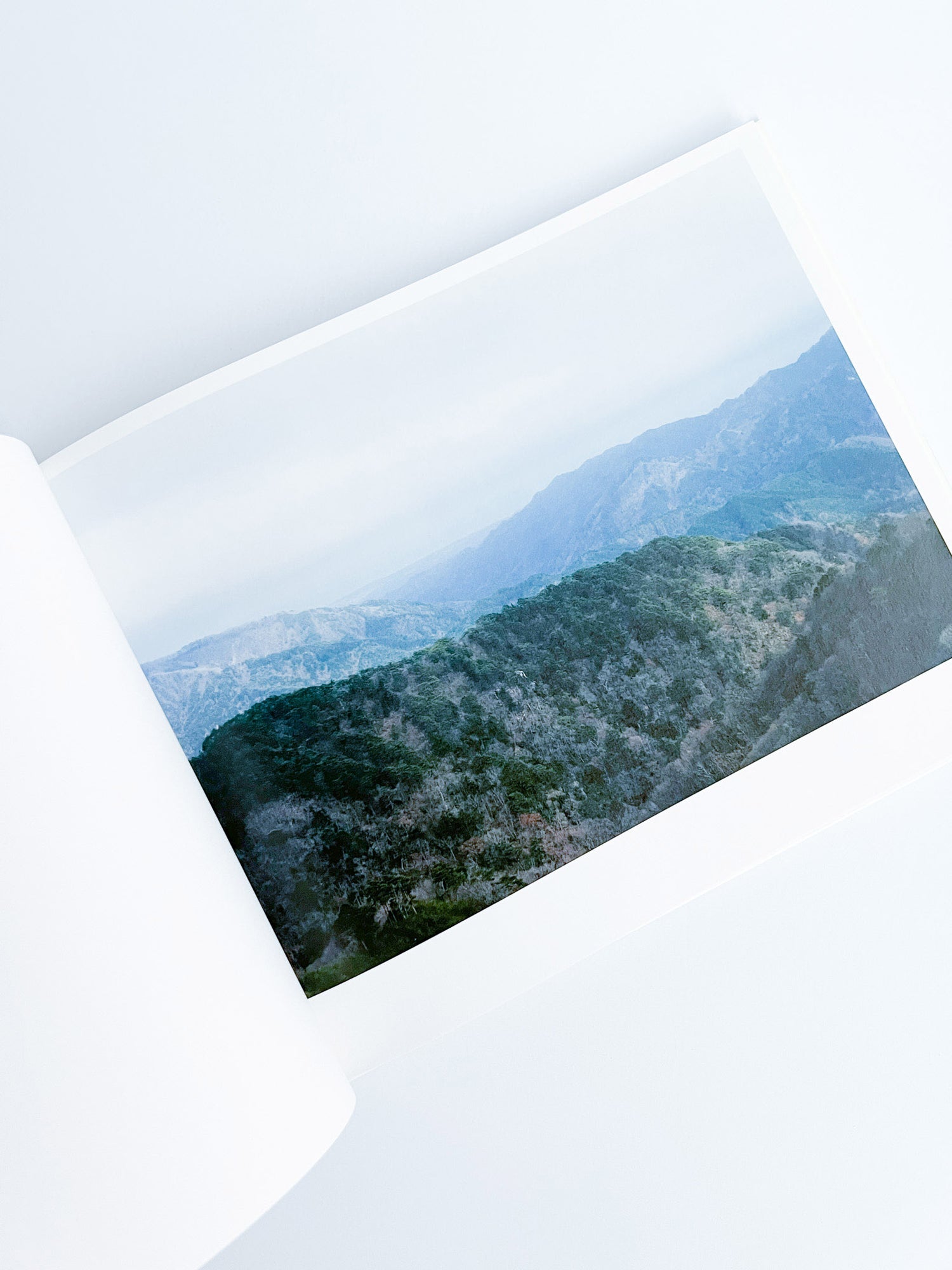 Semicircle Law / Tomoki Imai [SIGNED]