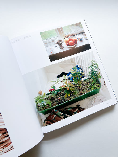 WOLFGANG TILLMANS / Wolfgang Tillmans