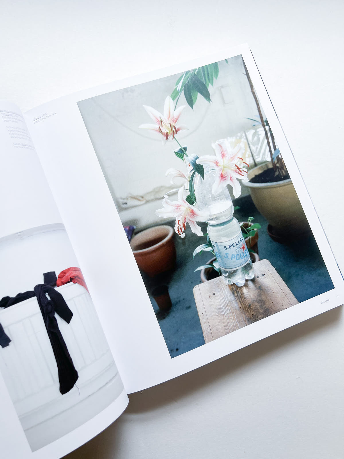 WOLFGANG TILLMANS / Wolfgang Tillmans