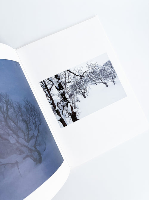 BROAD LEAF SNOW TREE / Yoichi Watanabe [PP Edition, SIGNED]