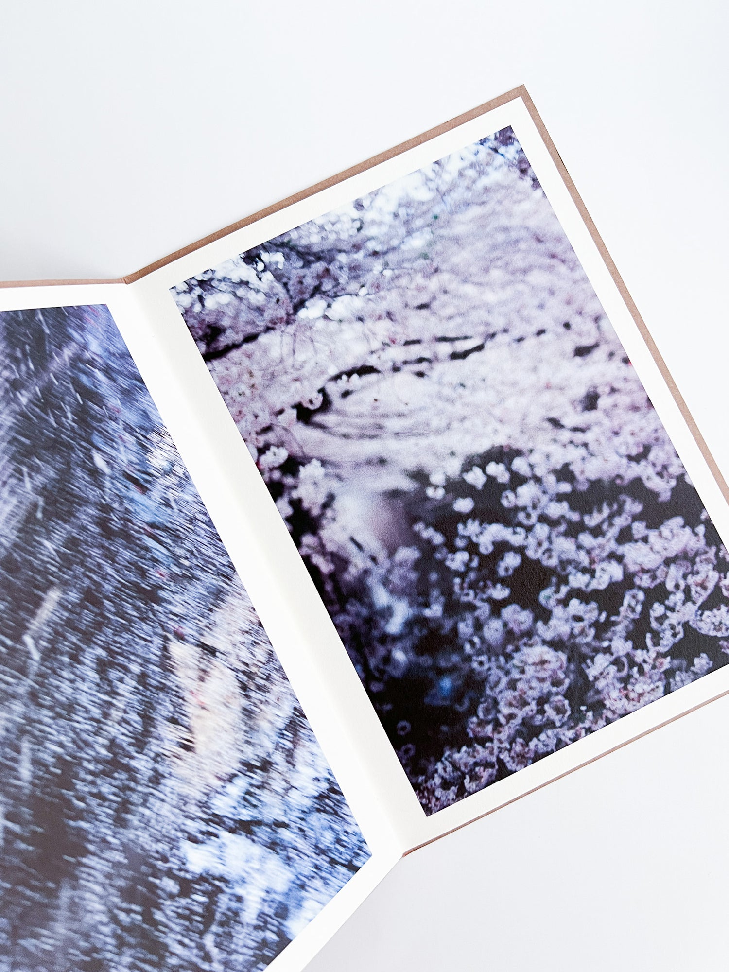 PLANT A TREE / Mika Ninagawa [PP Edition, SIGNED]