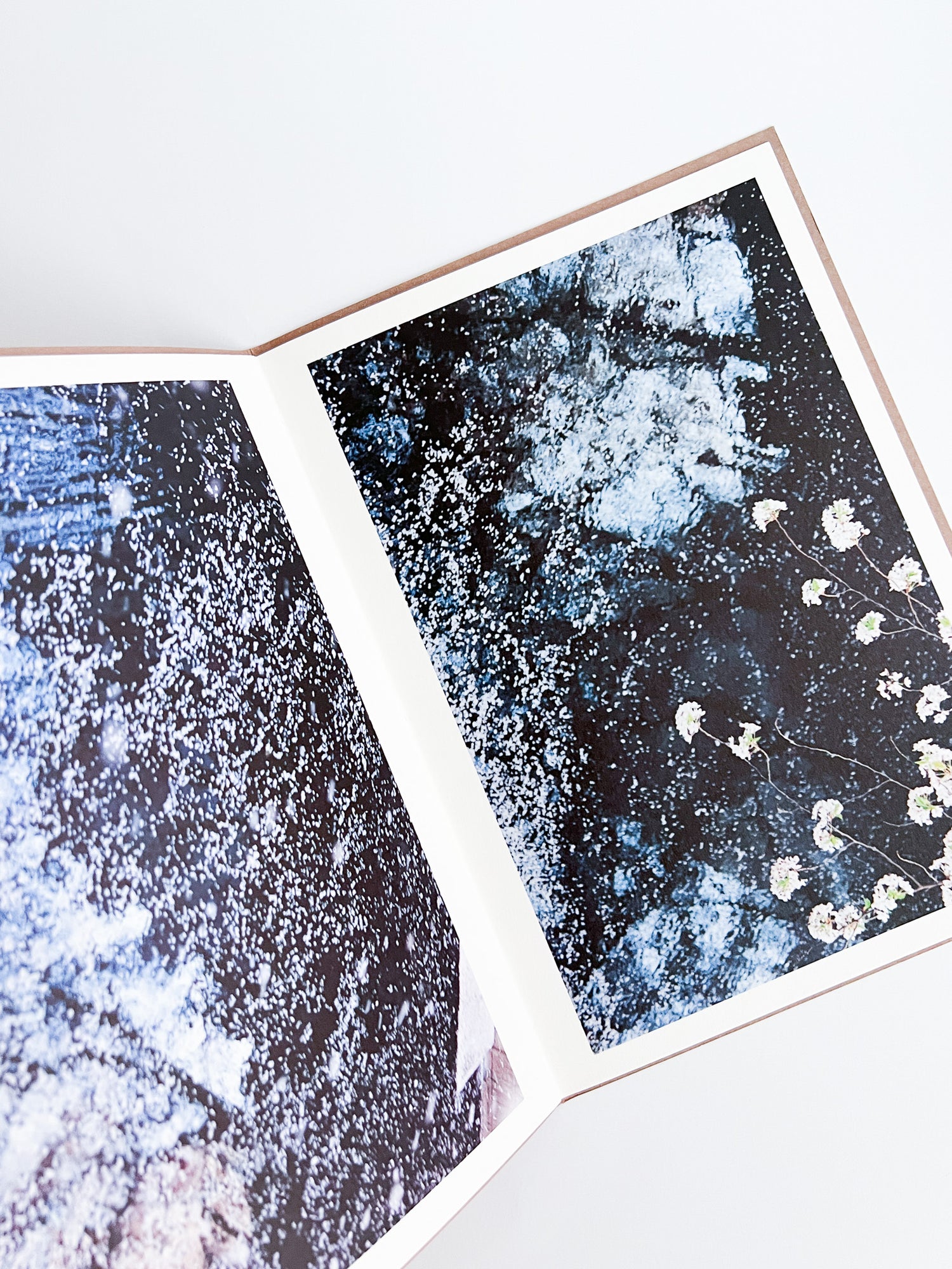 PLANT A TREE / Mika Ninagawa [PP Edition, SIGNED]