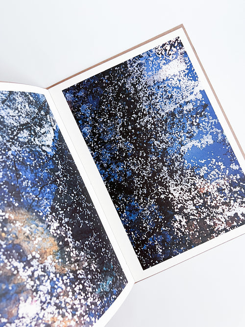 PLANT A TREE / Mika Ninagawa [PP Edition, SIGNED]