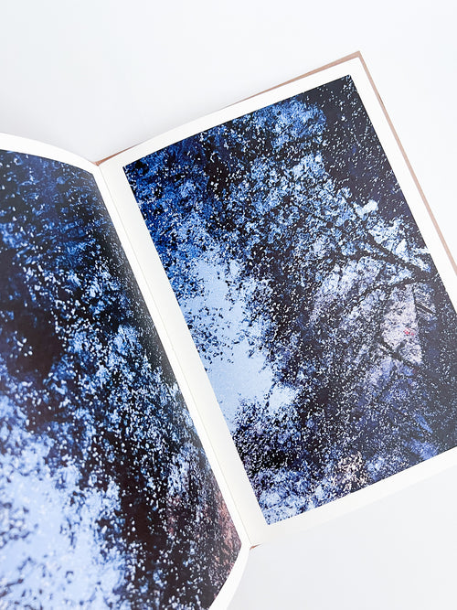 PLANT A TREE / Mika Ninagawa [PP Edition, SIGNED]