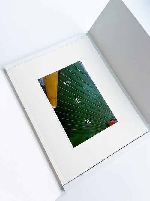 Ziraiya / Kyoji Takahashi + Yu Ukai [PP Edition]
