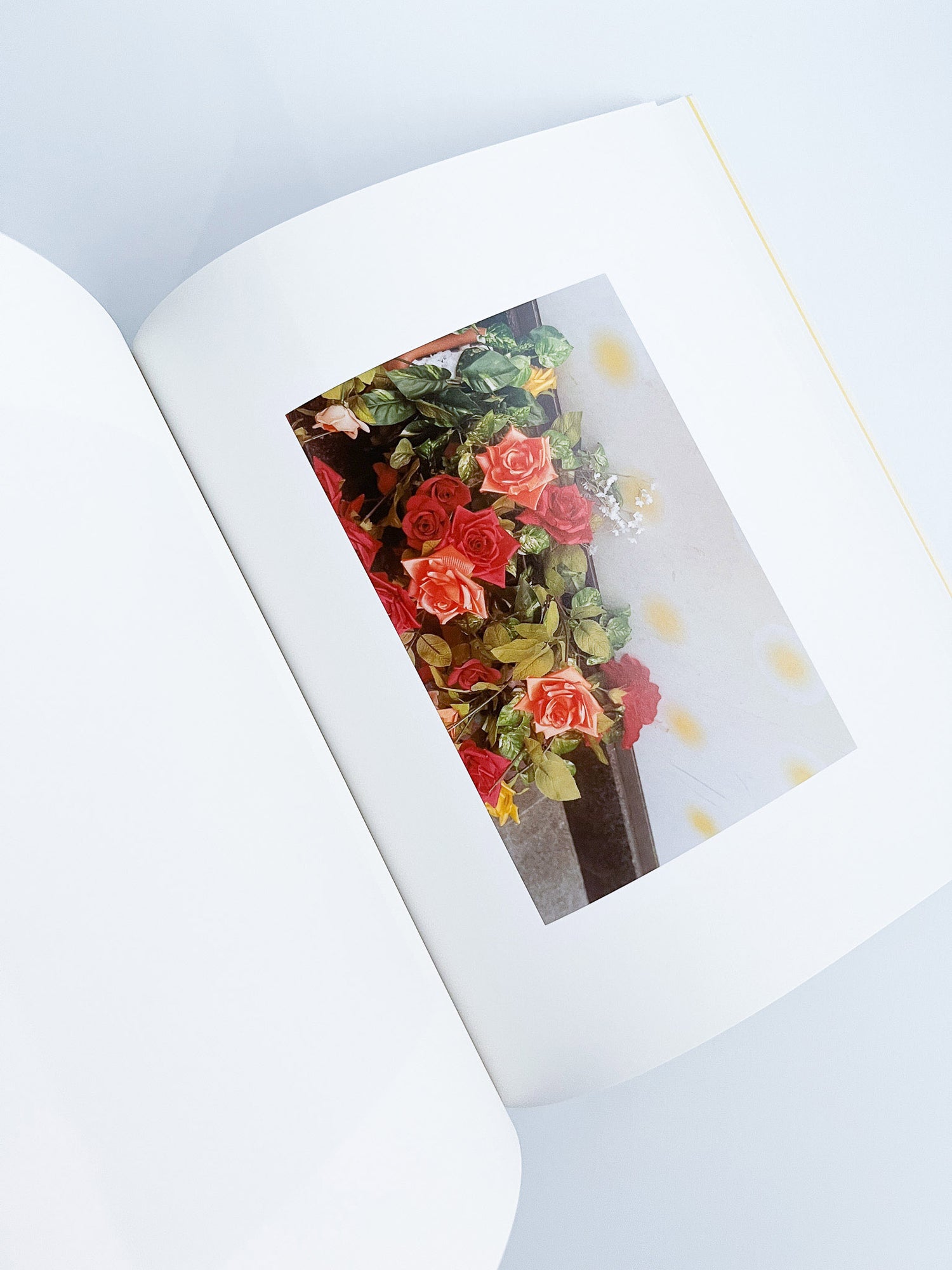 Ziraiya / Kyoji Takahashi + Yu Ukai [PP Edition]