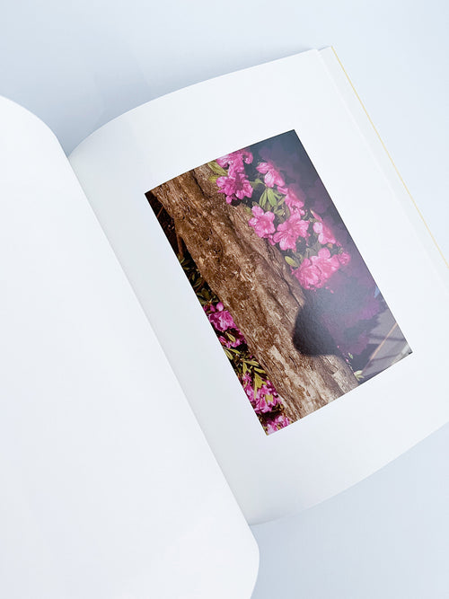 Ziraiya / Kyoji Takahashi + Yu Ukai [PP Edition]