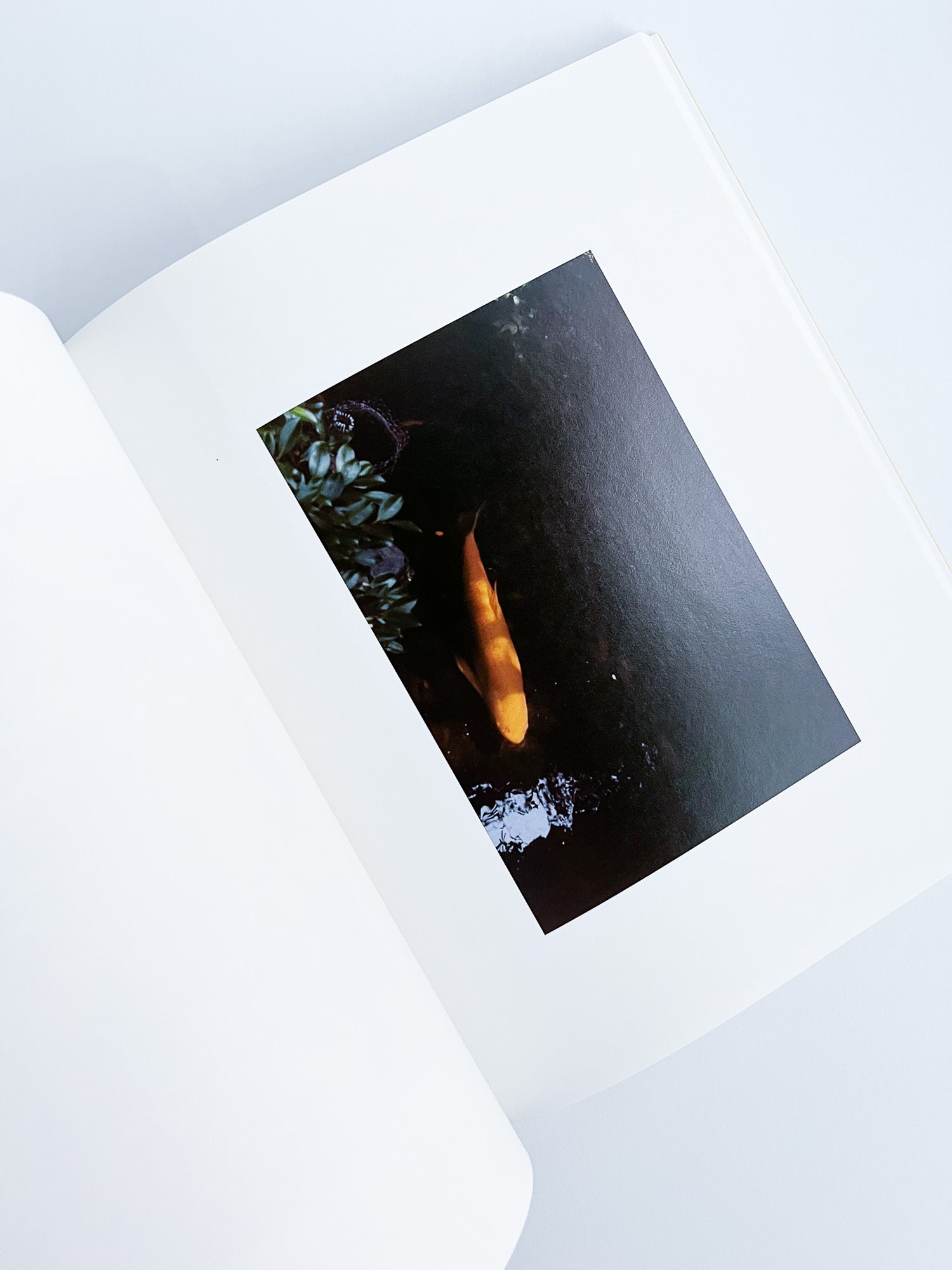 Ziraiya / Kyoji Takahashi + Yu Ukai [PP Edition]