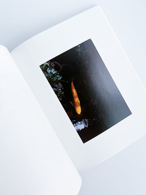 Ziraiya / Kyoji Takahashi + Yu Ukai [PP Edition]