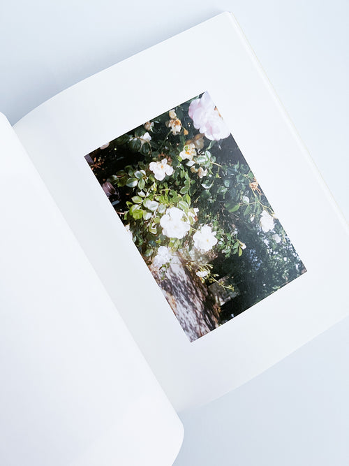 Ziraiya / Kyoji Takahashi + Yu Ukai [PP Edition]