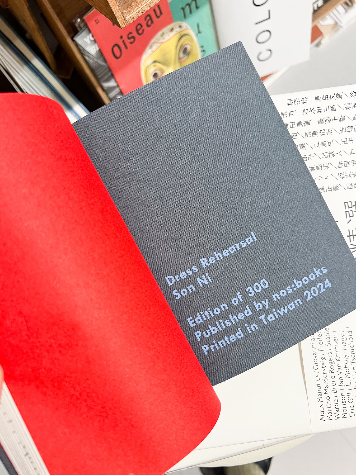 Dress Rehearsal 彩排 / Son Ni