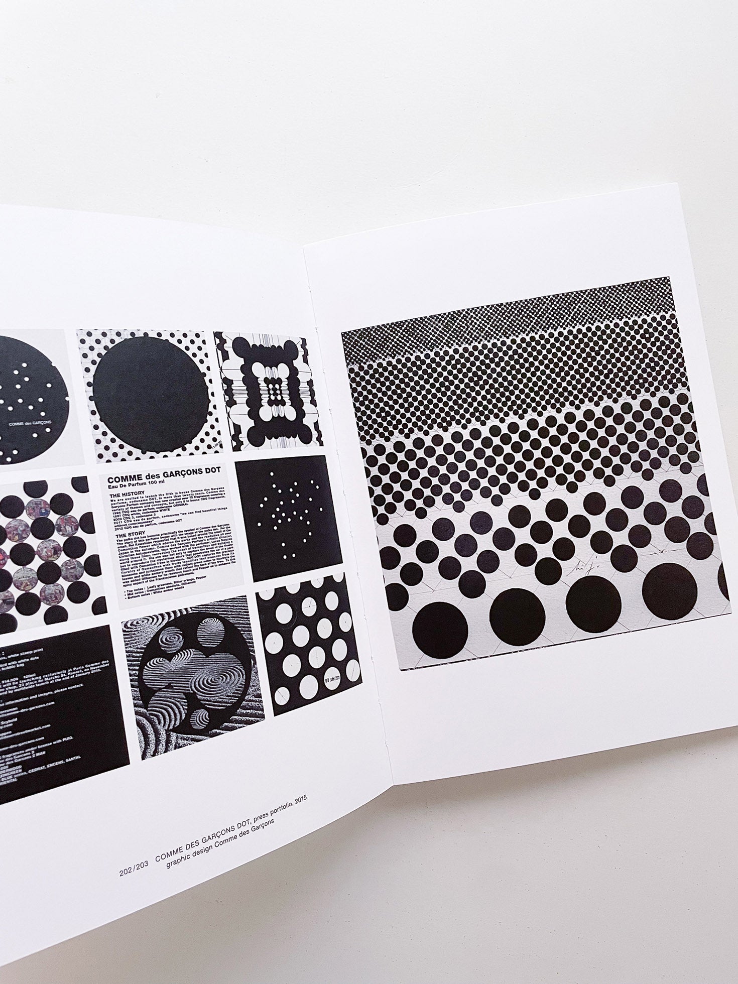 COMME DES GARÇONS PARFUMS 1994–2025