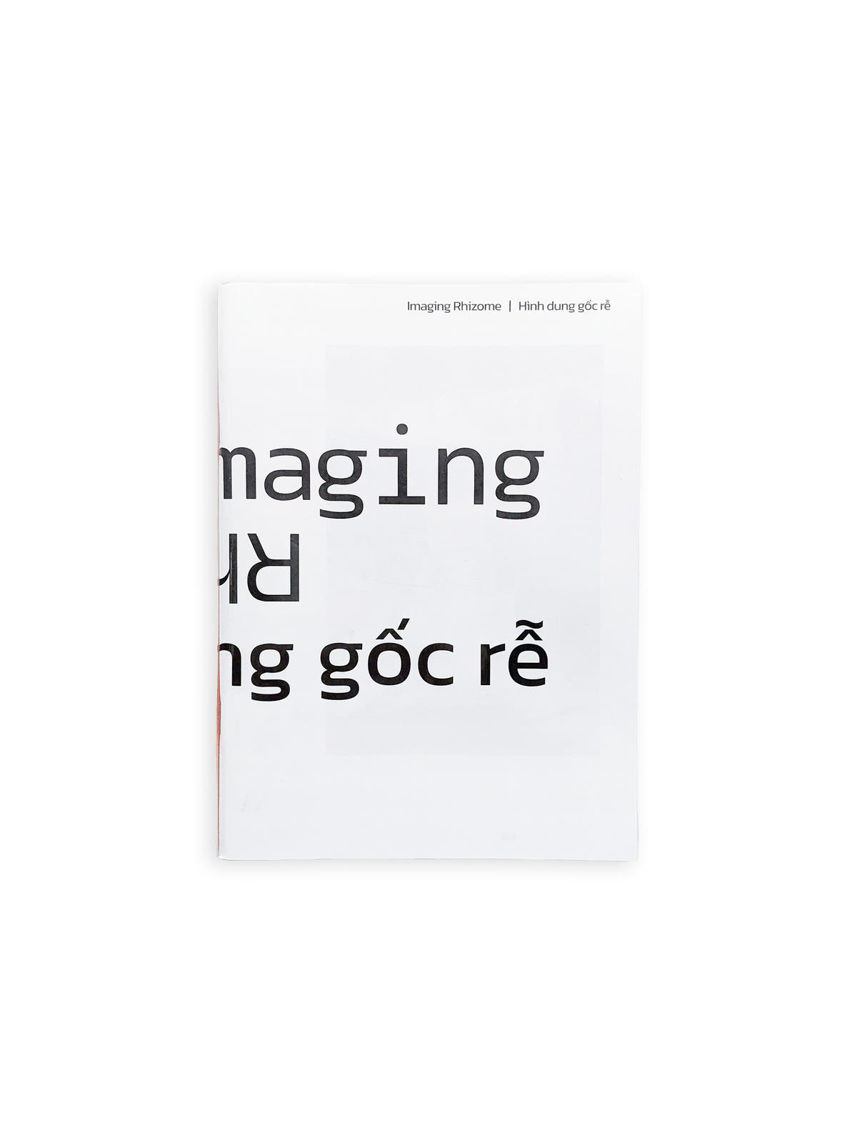 Imaging Rhizome｜Hình dung gốc rễ