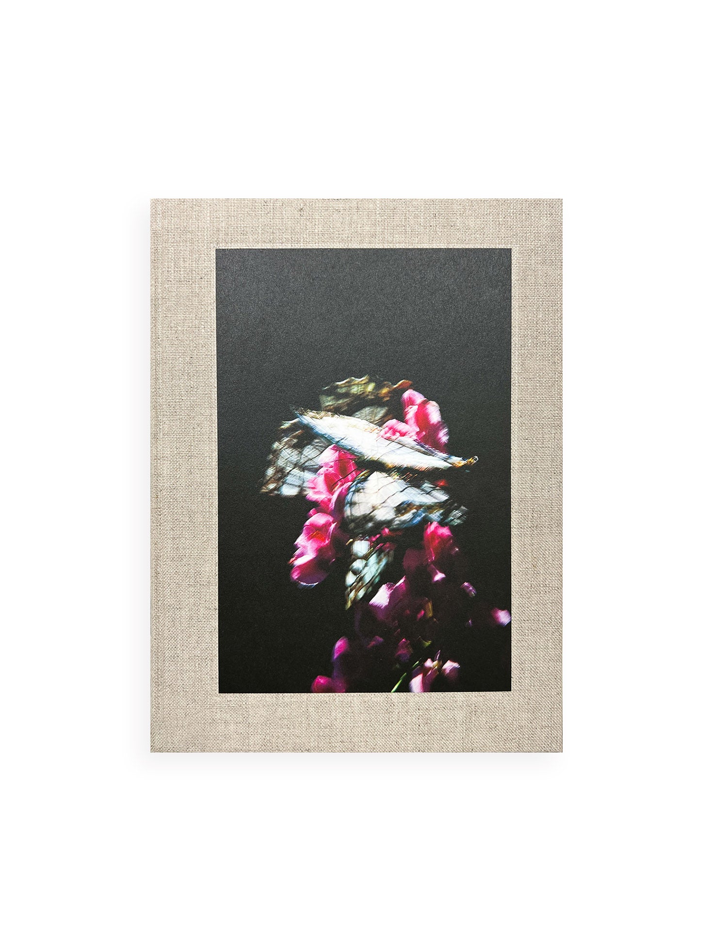 KANON / Shimpei Yamagami [SIGNED]