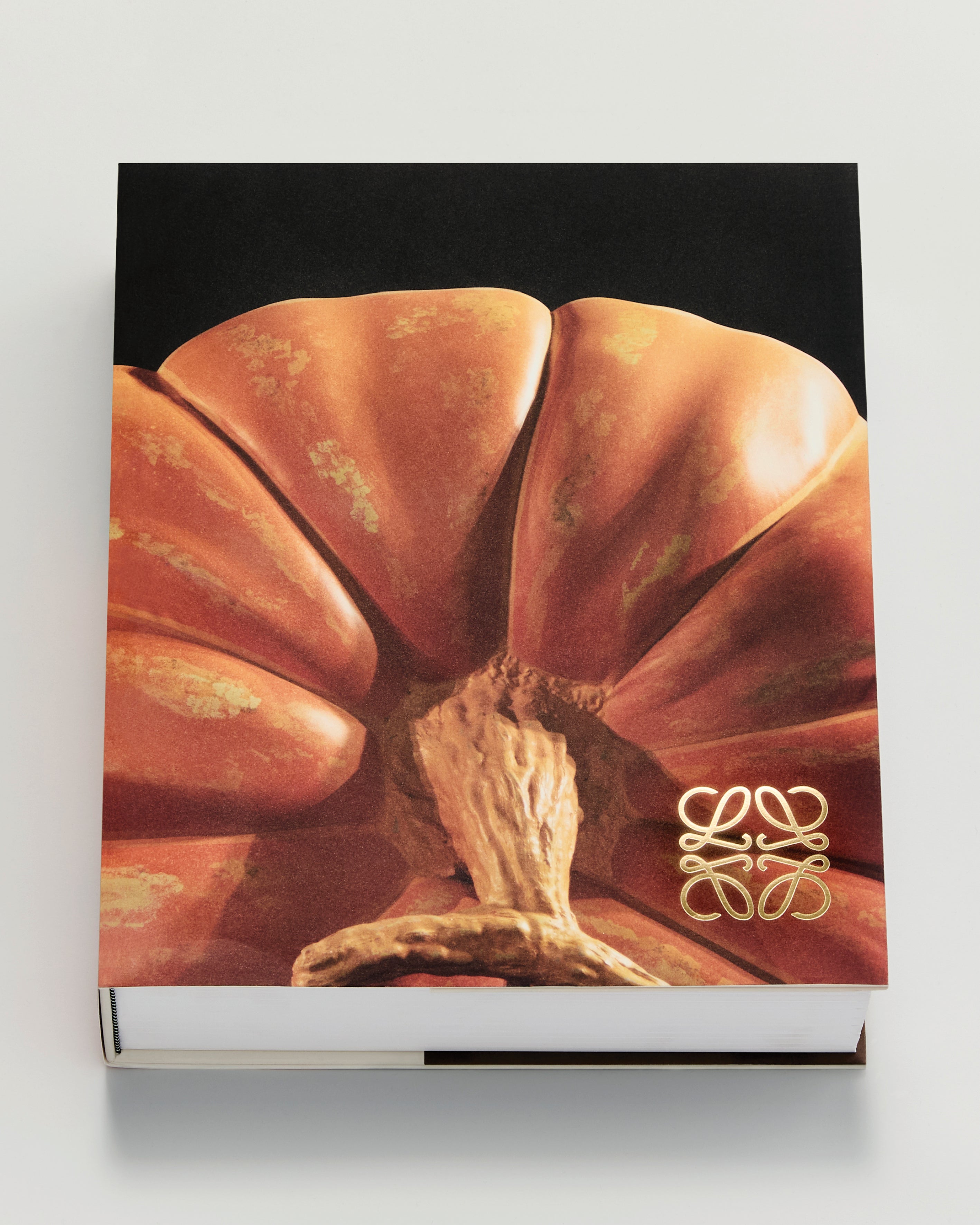 CRAFTED WORLD: JONATHAN ANDERSON'S LOEWE - 本屋青旗 Ao-Hata Bookstore