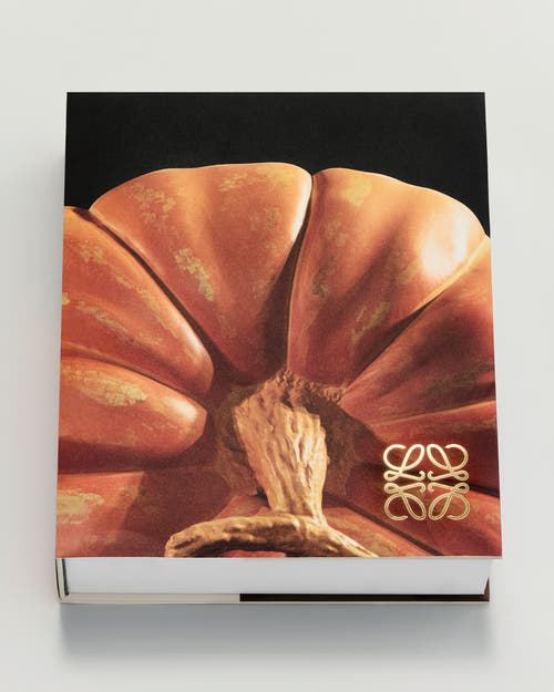 CRAFTED WORLD: JONATHAN ANDERSON'S LOEWE