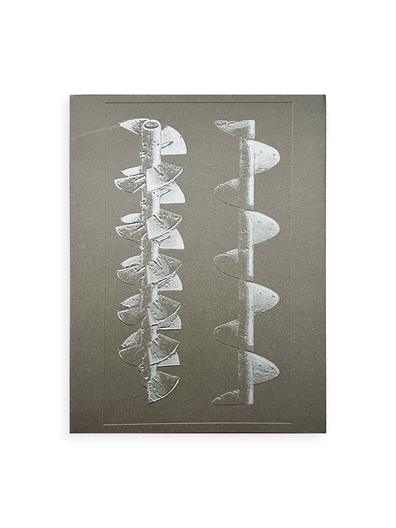 La Nonpareille / Batia Suter