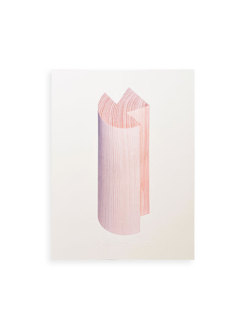 OBJECTS IN DIALOG / Shane Schneck