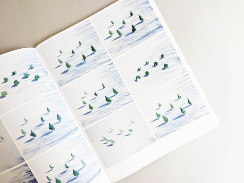 Assembly snow 2 / Osamu Yokonami